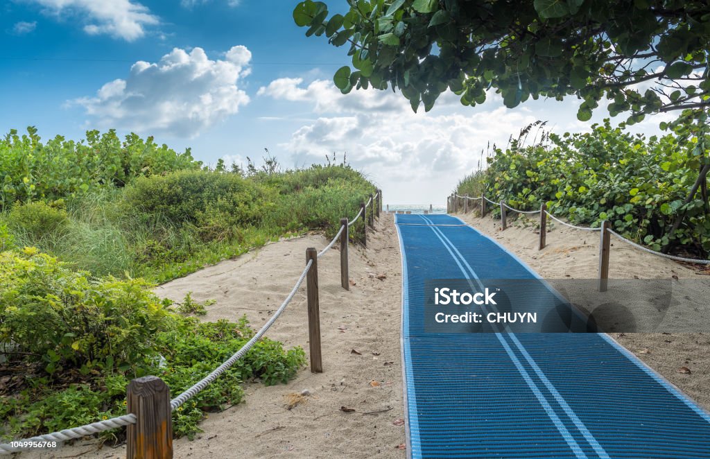 A blue accessibility mat lays a smooth path over the sand, between green dunes, straight toward the ocean