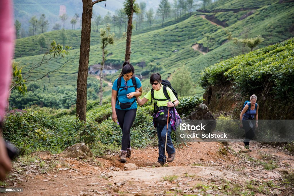 A hiker with trekking poles is guided along a tea-plantation trail by a companion holding her arm