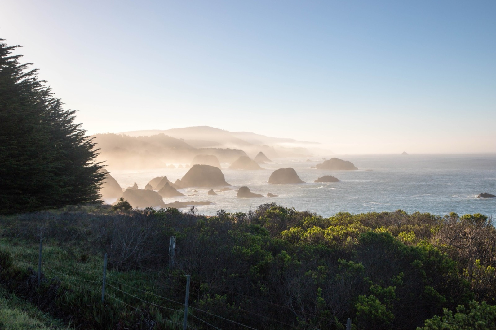 Morning fog lifting over a calm cove of sea stacks along an evergreen coastline