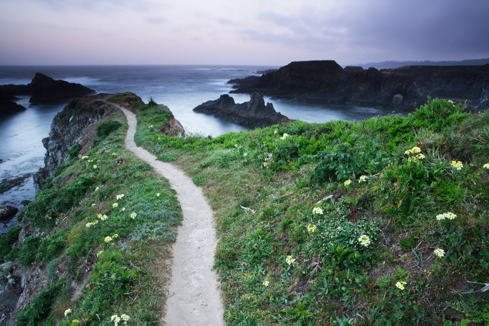 A smooth footpath winding along a flowering coastal bluff, with calm sea stacks in the water below at dusk
